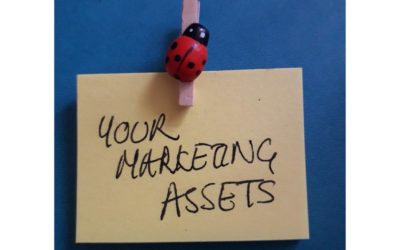 Marketing assets create a firm foundation